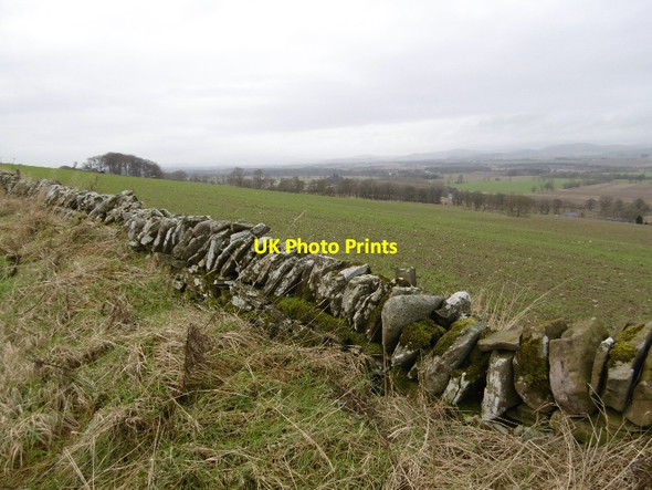 Photo 6"x4" Arable land, Hillbarns Netherton\/NO5457 c2016