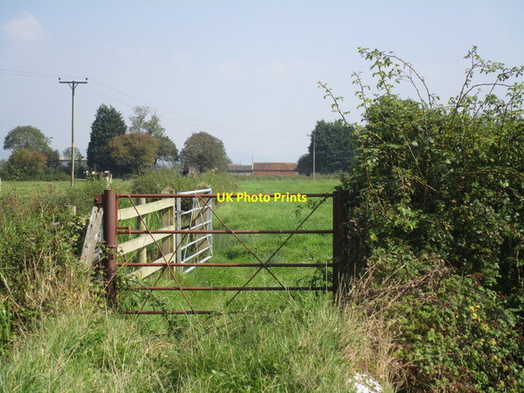 Photo 6"x4" Bridleway to Plaish Farm Vole c2014