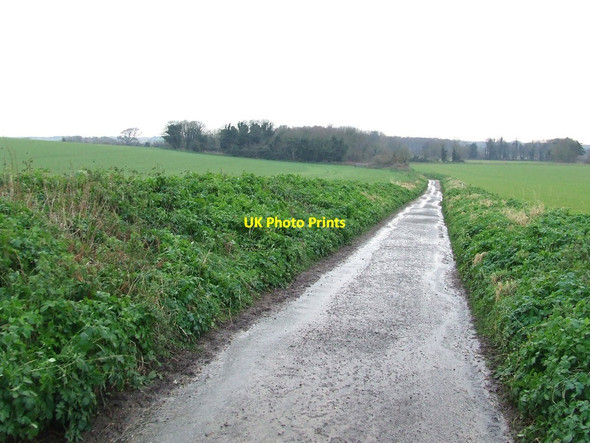 Photo 6"x4" Coopers Lane Kessingland c2016