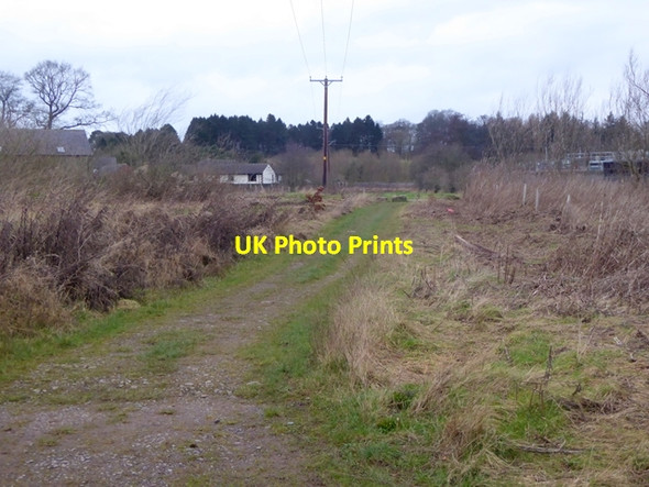 Photo 6"x4" Path at Lowmill Dalston\/NY3650 c2016