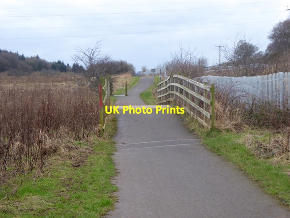 Photo 6"x4" Caldew Cycleway below Thurnam Wood Cummersdale c2016