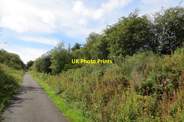 Photo 6"x4" Dalry and North Johnstone Line Lochwinnoch c2015