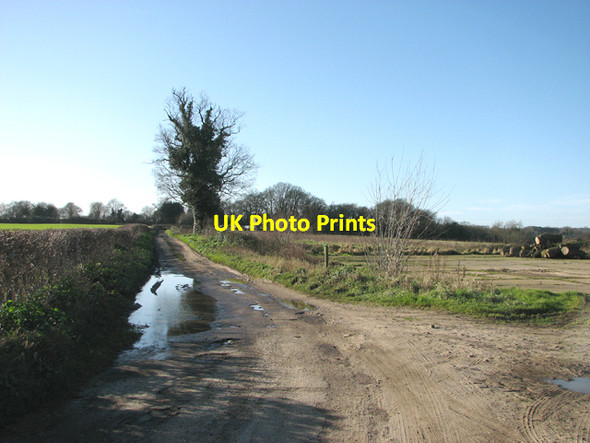 Photo 6"x4" Track to the A146 road Hellington c2016
