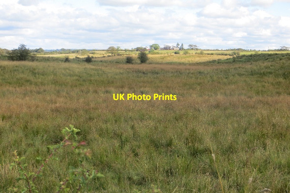 Photo 6"x4" Rough grazing near Law Hill Auchentiber\/NS3647 c2015