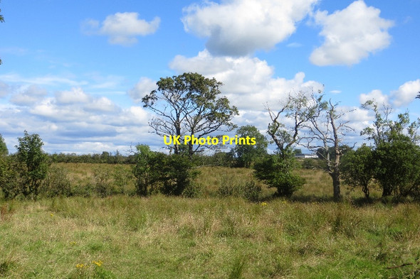 Photo 6"x4" North Auchenmade Auchentiber\/NS3647 c2015