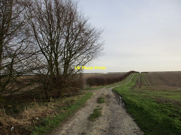 Photo 6"x4" Farm track off Hunsley Road Walkington c2016