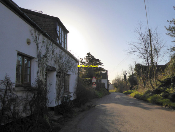 Photo 6"x4" Petherton Road, North Newton North Newton\/ST3031 c2016