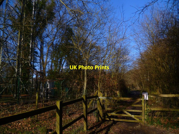 Photo 6"x4" Bridleway called Cook's Lane goes north Rapkyns c2016