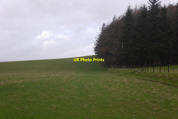 Photo 6"x4" Field, Highchesters Roberton\/NT4214 c2016