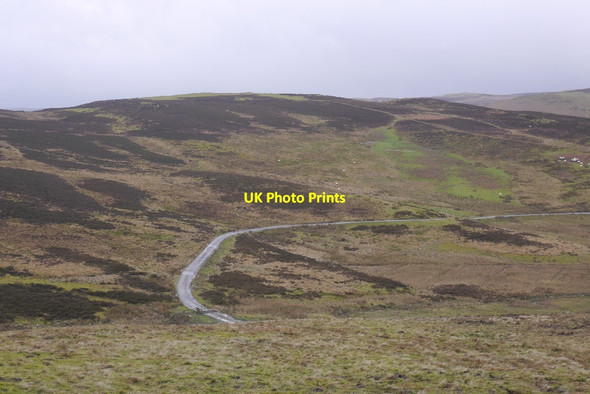 Photo 6"x4" Road to Whitslade Langhope\/NT4220 c2016