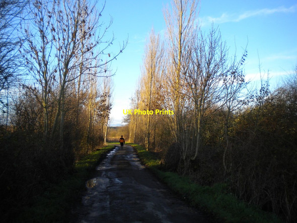 Photo 6"x4" Track north of Kinoulton (3) Kinoulton c2016