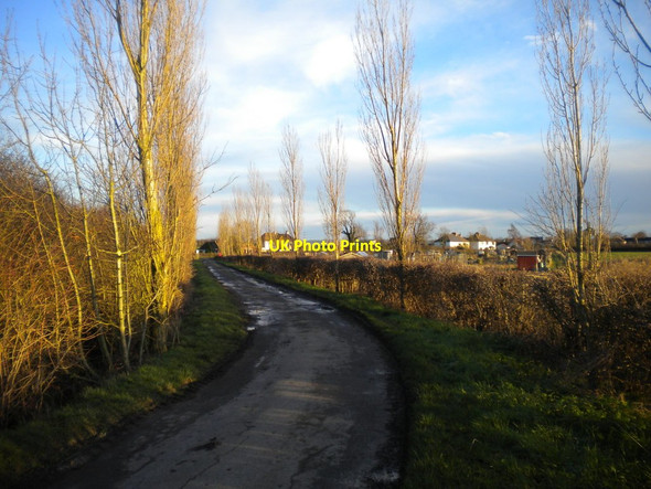 Photo 6"x4" Track north of Kinoulton (4) Kinoulton c2016