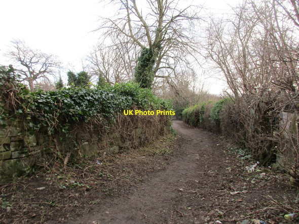 Photo 6"x4" Footpath to the allotments Handsworth\/SK4086 c2016