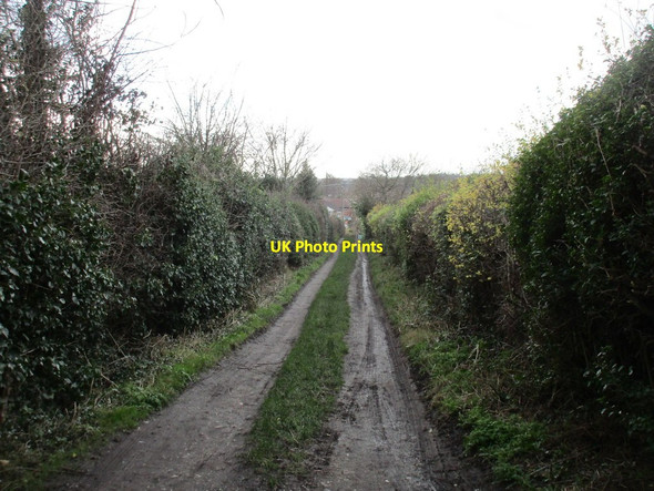 Photo 6"x4" Track between the allotments Handsworth\/SK4086 c2016