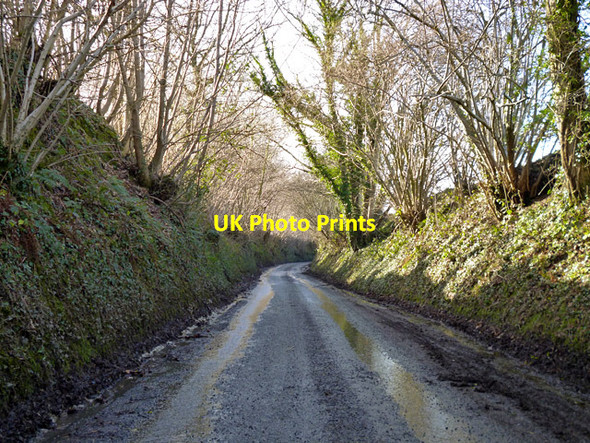 Photo 6"x4" Lane to Hartley Maunditt Hartley Mauditt c2016
