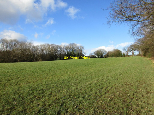 Photo 6"x4" Field below Hazelhurst Lane Lightwood\/SK3782 c2016