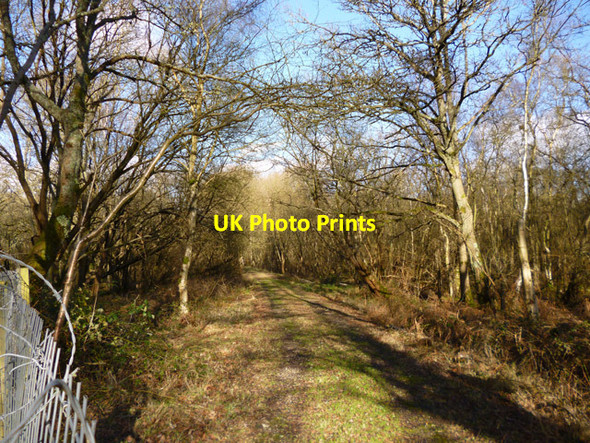 Photo 6"x4" Course of old railway, Bordon Bordon c2016