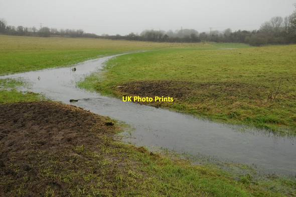Photo 6"x4" The River Thames near Thames Head Kemble c2016