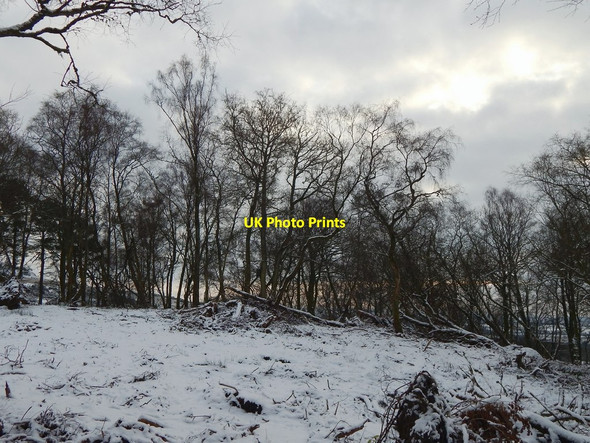 Photo 6"x4" Square Wood Dumbarton c2016