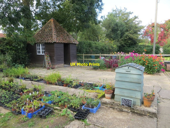 Photo 6"x4" Shed in the Garden Huntercombe End c2014
