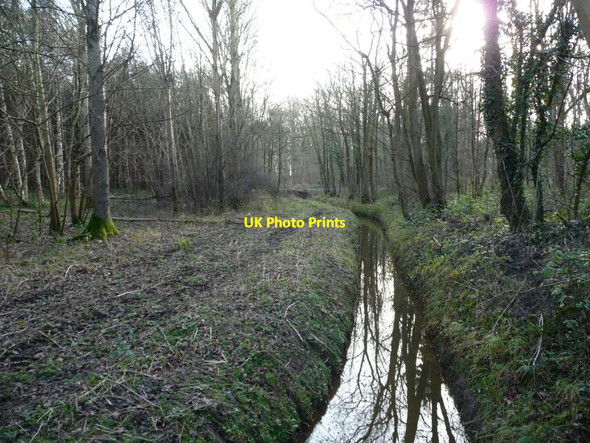 Photo 6"x4" Main Drain, Bishop Wood, looking downstream Biggin\/SE5434 c2016
