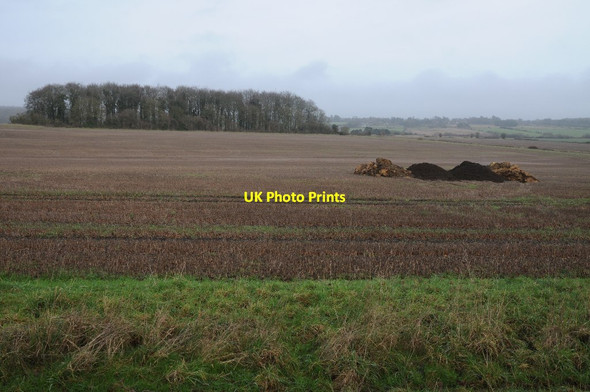 Photo 6"x4" Muck bury in a field Tarlton c2016