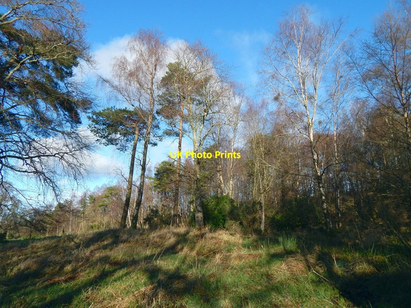 Photo 6"x4" The former site of Hill of Garshake Farm Dumbarton c2016