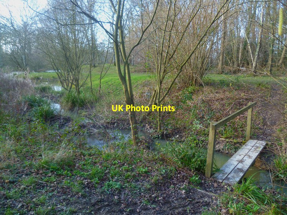 Photo 6"x4" Footbridge into woodland Barns Green c2016