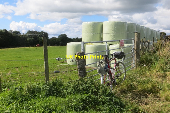 Photo 6"x4" Silage bales, South Fergushill Kilwinning c2015