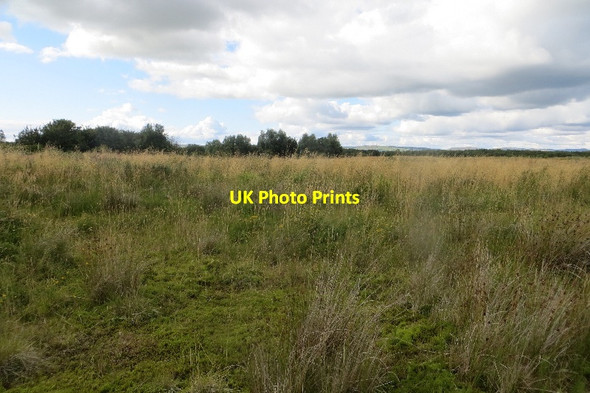 Photo 6"x4" Land awaiting development, Irvine Irvine c2015