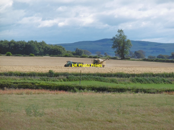 Photo 6"x4" Harvest near Cormaddie Holywood\/NX9480 c2015