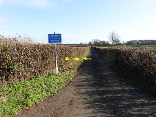 Photo 6"x4" Sign on Rue Lane Isle Abbotts c2016