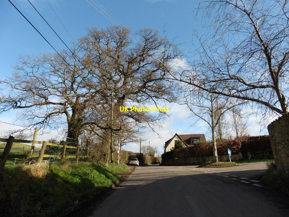 Photo 6"x4" Turning for West Lambrook New Cross\/ST4119 c2016