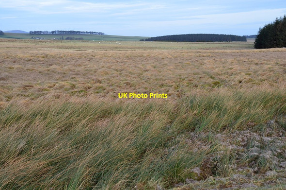 Photo 6"x4" Flat land above Leadburn Tweeddaleburn\/NT2752 c2016