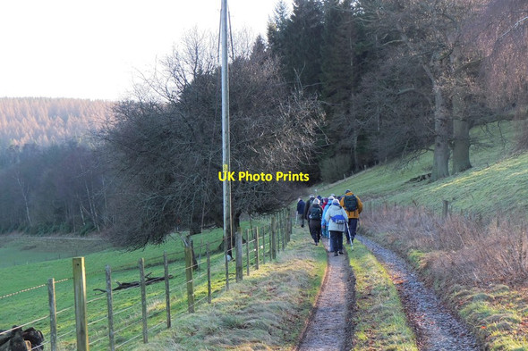 Photo 6"x4" Track at Kailzie Glentress\/NT2839 c2016