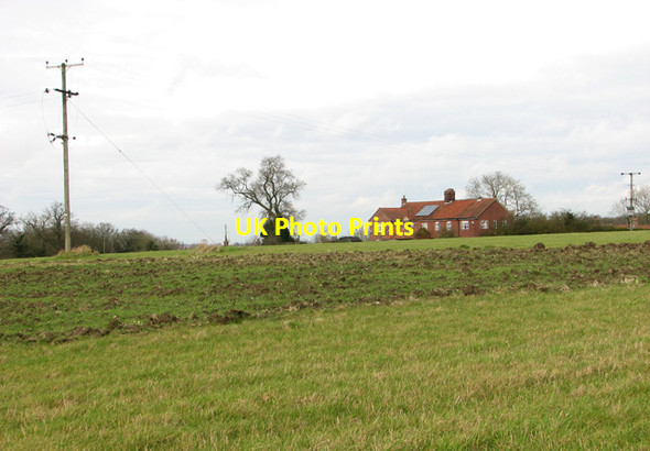 Photo 6"x4" Electricity pole in crop field Caistor St Edmund c2016