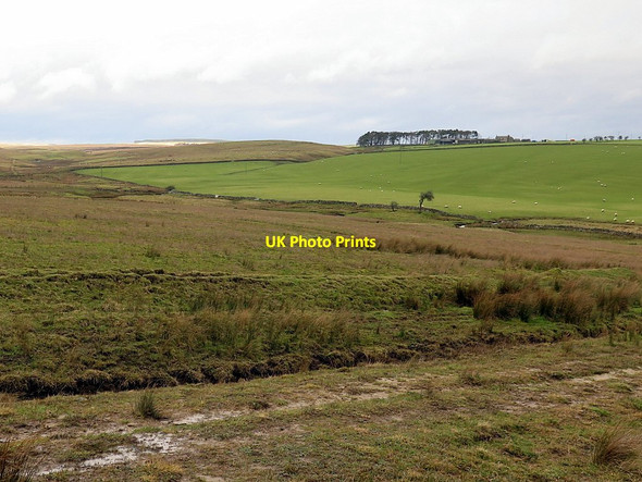 Photo 6"x4" Moorland near Crook Burn Uppertown\/NY8672 c2016