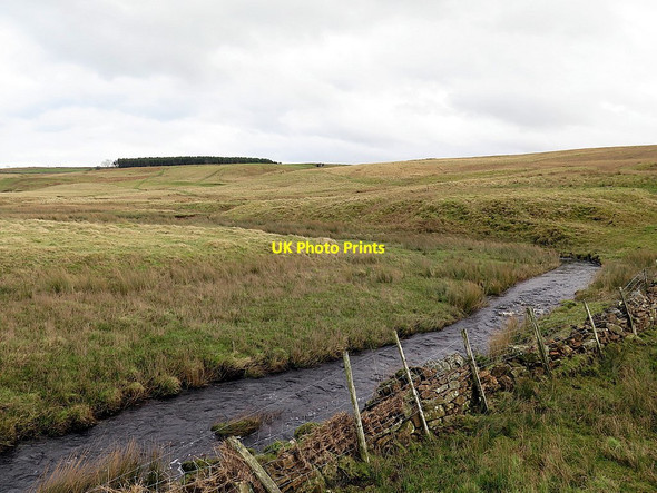 Photo 6"x4" Crook Burn Uppertown\/NY8672 c2016