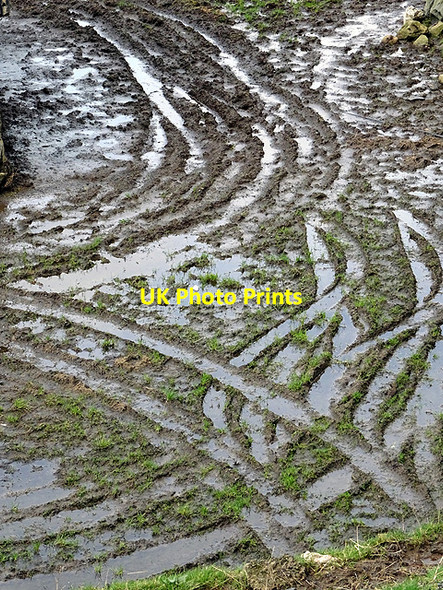 Photo 6"x4" Tracks in the mud Llanuwchllyn c2016