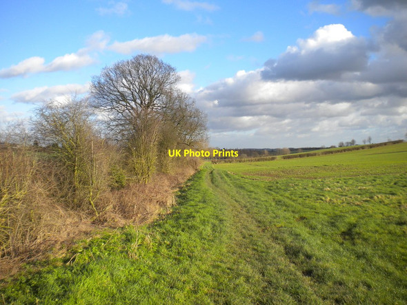 Photo 6"x4" Bridleway south of Lowdham Grange Lambley\/SK6345 c2016