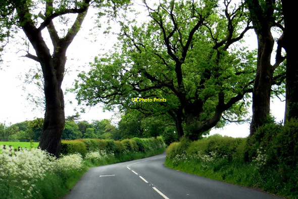 Photo 6"x4" Bracewell Lane from Barnoldswick Barnoldswick\/SD8746 c2015