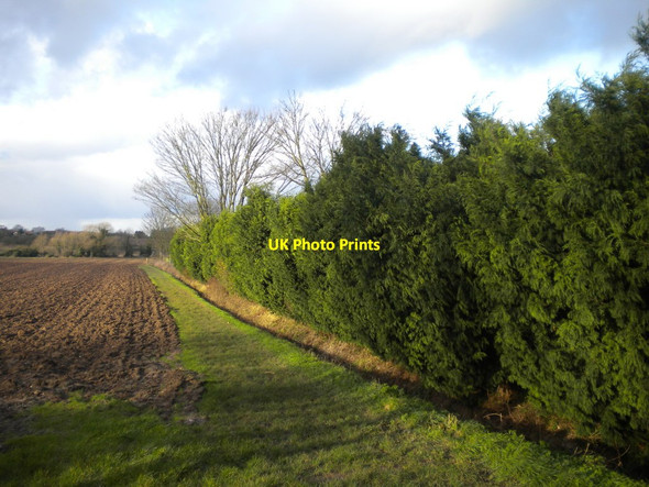 Photo 6"x4" Public footpath off Lowdham Lane, east of Woodborough Woodborough\/SK6347 c2016