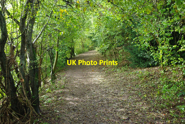 Photo 6"x4" Path, Chipstead Valley Banstead c2010