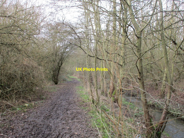 Photo 6"x4" Path alongside County Dike Sothall c2016