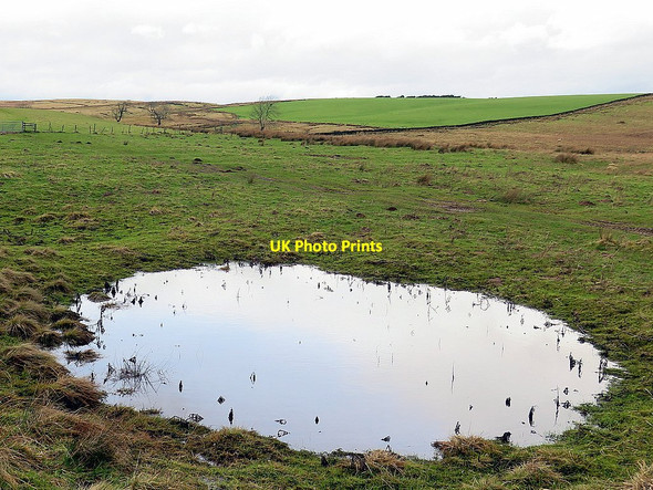 Photo 6"x4" Seasonal pond south of Castle Burn Uppertown\/NY8672 c2016