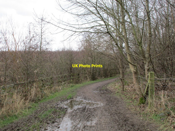 Photo 6"x4" Footpath to Waleswood Waleswood c2016