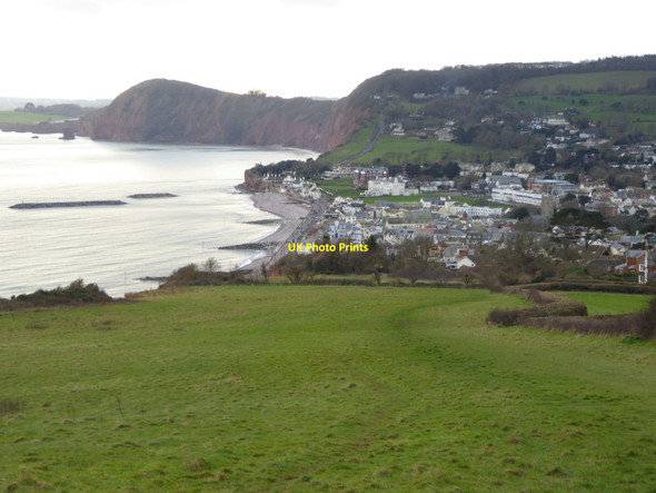 Photo 6"x4" Sidmouth sea front from Salcombe Hill Cliff Sidmouth c2016