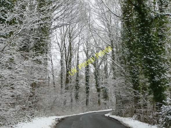 Photo 6"x4" Kempley Road 5 Linton\/SO6625 c2009