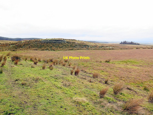 Photo 6"x4" Sheepfold north of Great Lonbrough Stonehaugh c2016