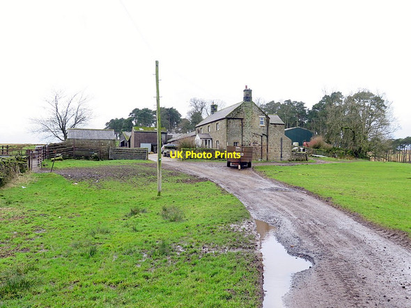 Photo 6"x4" Goatstones Farm from east Uppertown\/NY8672 c2016